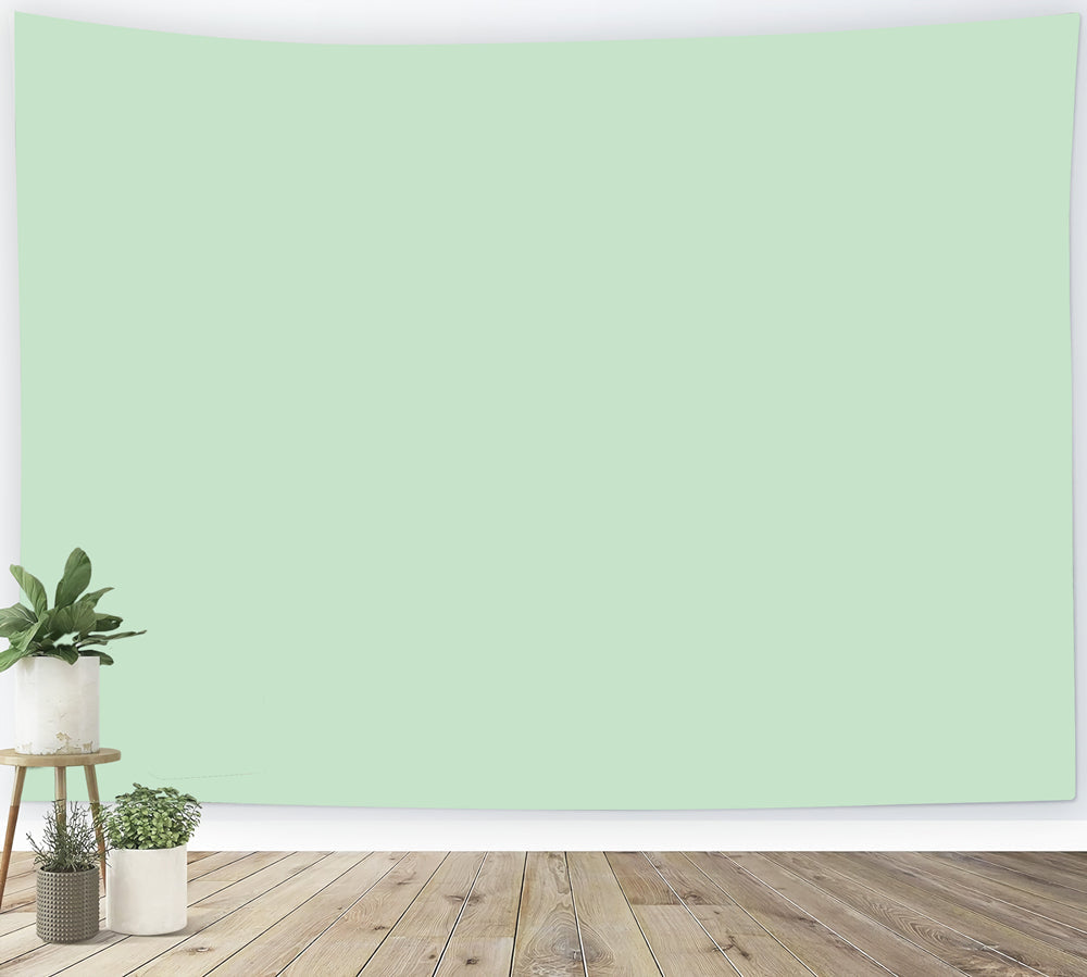 Green Photo Backdrop Soft Mint Green Gentle Hue Backdrop Solid Color UK CSH62-10