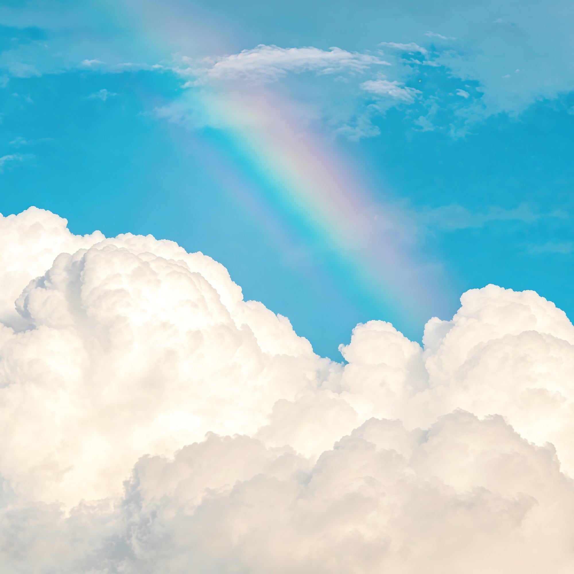 Blue Sky Photo Backdrop Rainbow Fluffy Clouds Sky Cloud Backdrop Photoshoot UK CSH62-130