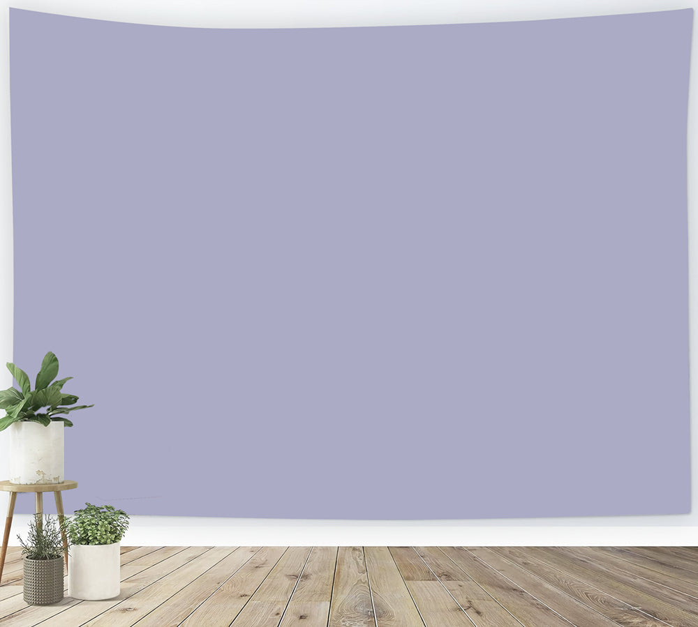 Purple Photo Backdrop Soft Lilac Grey Gradient Solid Color Backdrop UK CSH62-18