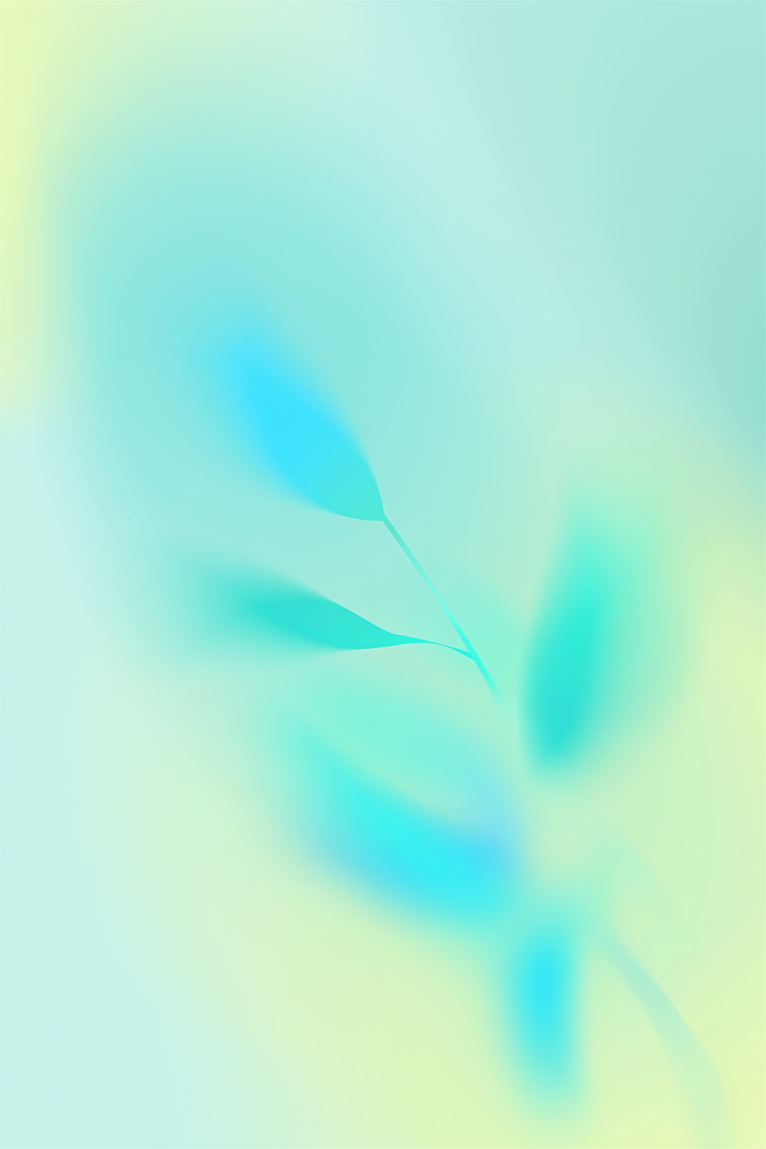 Gradient Backdrop Teal Green Blue Diffusion Professional Backdrop For Headshot UK CSH62-44