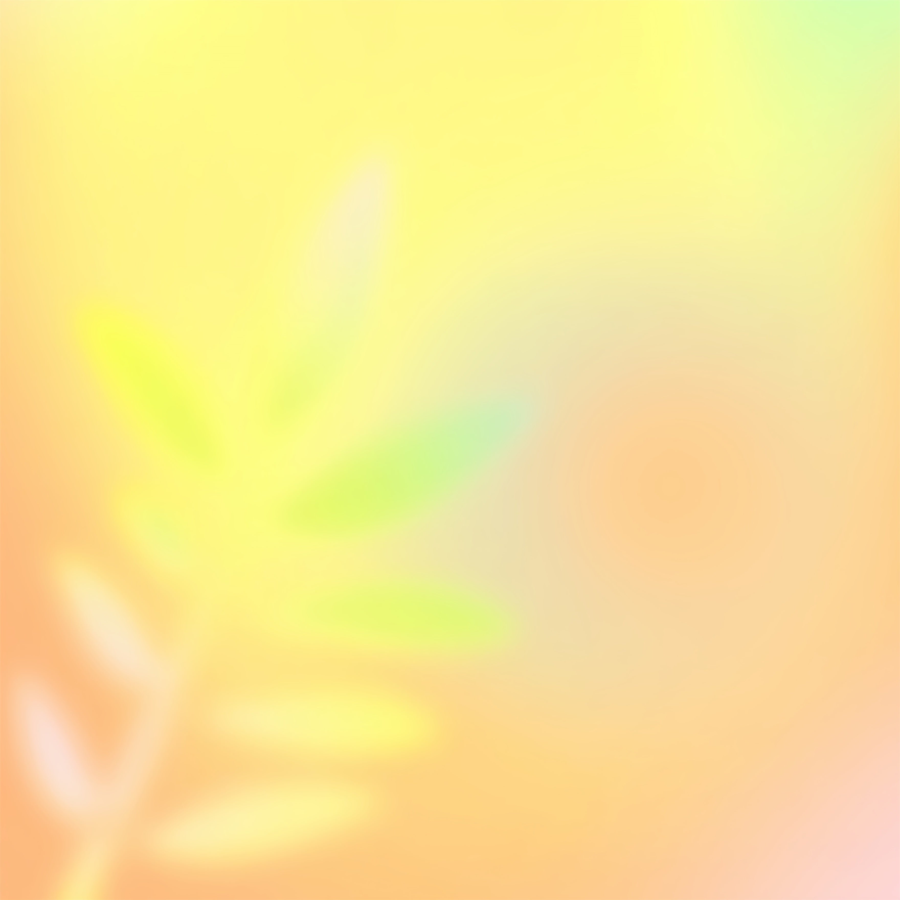 Gradient Photo Backdrop Sunrise Yellow Green Pink Blend Headshot Backdrop Ideas UK CSH62-46