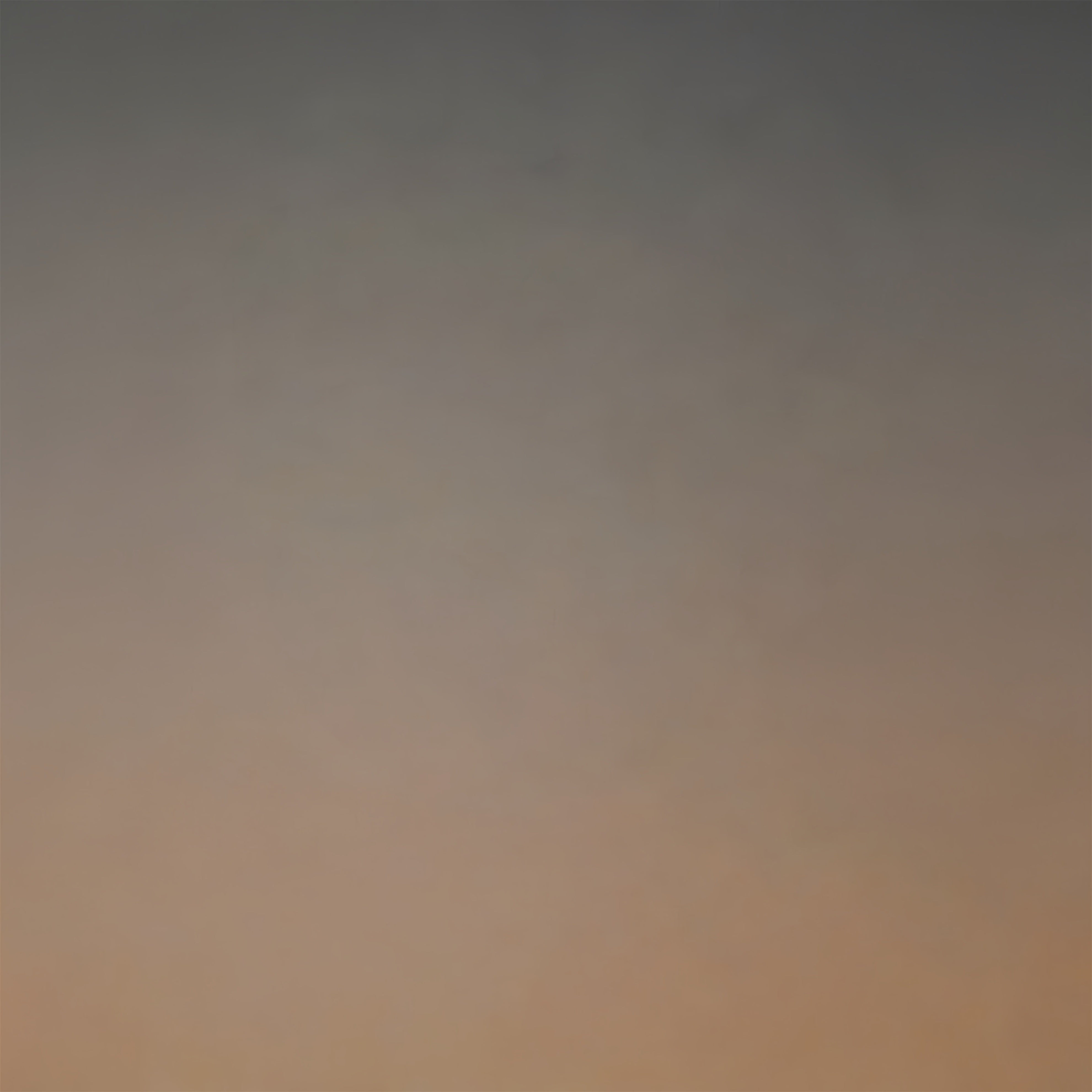 Portrait Gradient Backdrop Warm Neutral Dusk Gradient Best Backdrops For Headshots UK CSH62-59