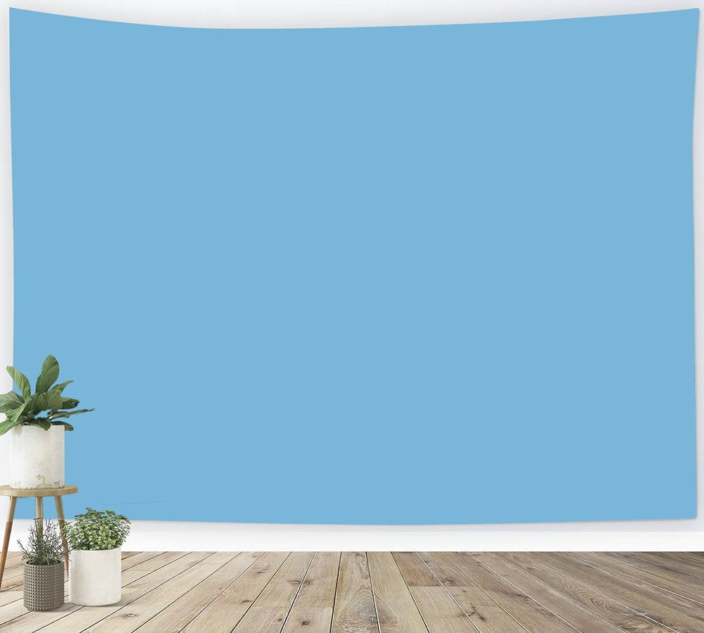 Blue Backdrop Fresh Sky Blue Clean Tone Solid Photography Backdrops UK CSH62-9