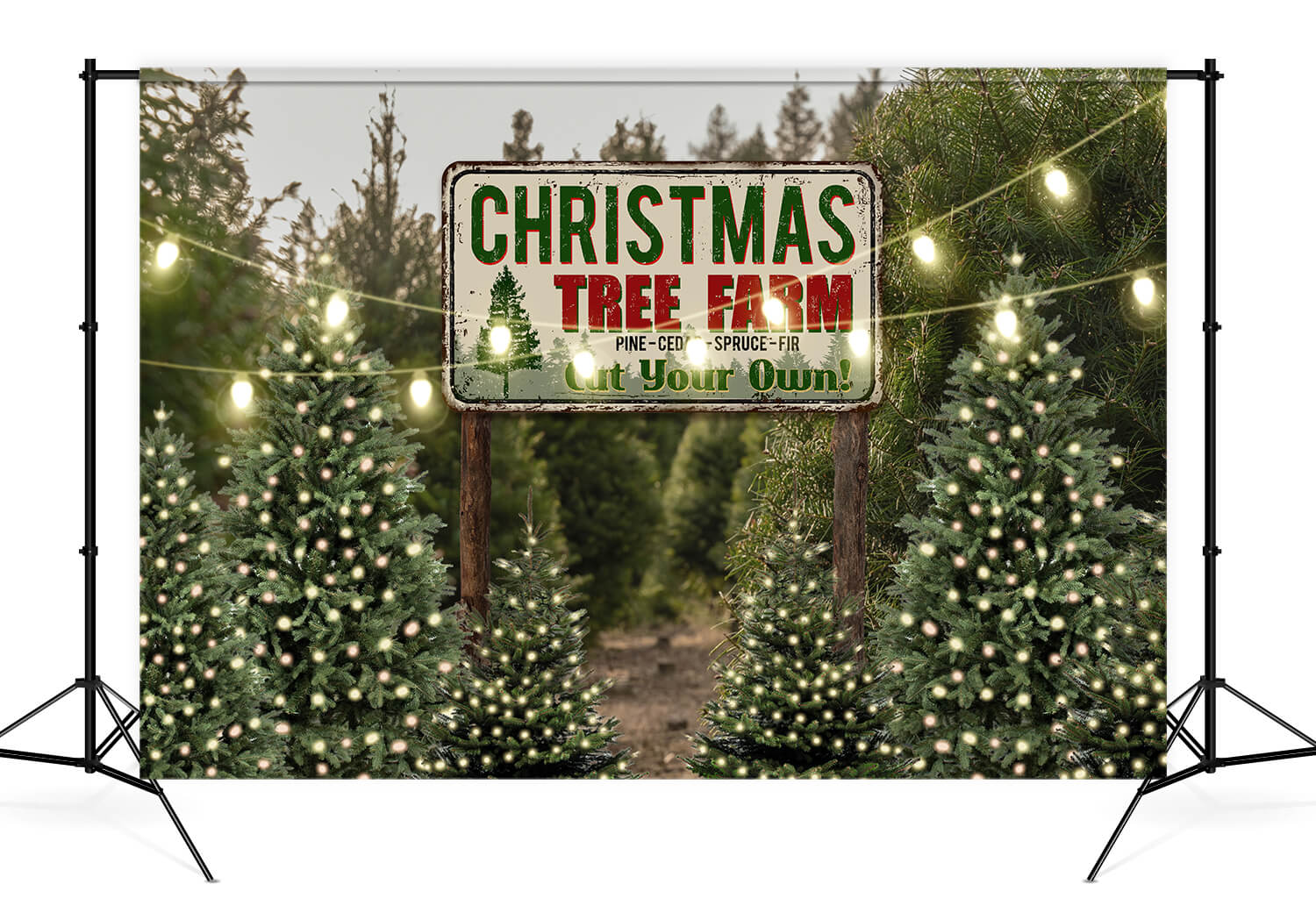 Christmas Tree Farm String Lights Backdrop for Photography D830