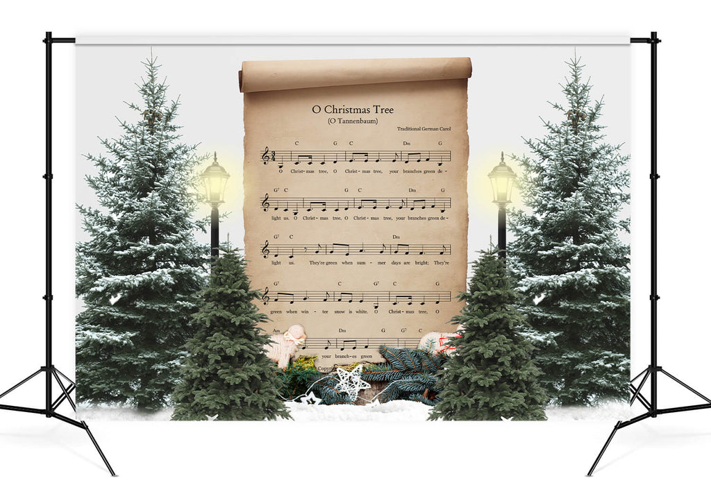 Christmas Song Winter Photography Backdrop D870