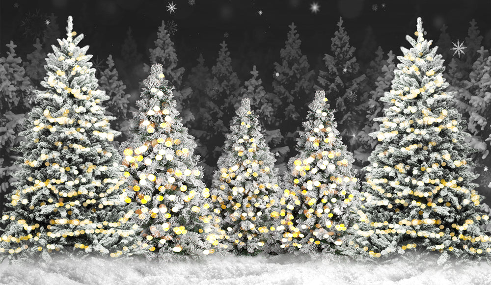 Christmas Night Forest Snow Photography Backdrop D893