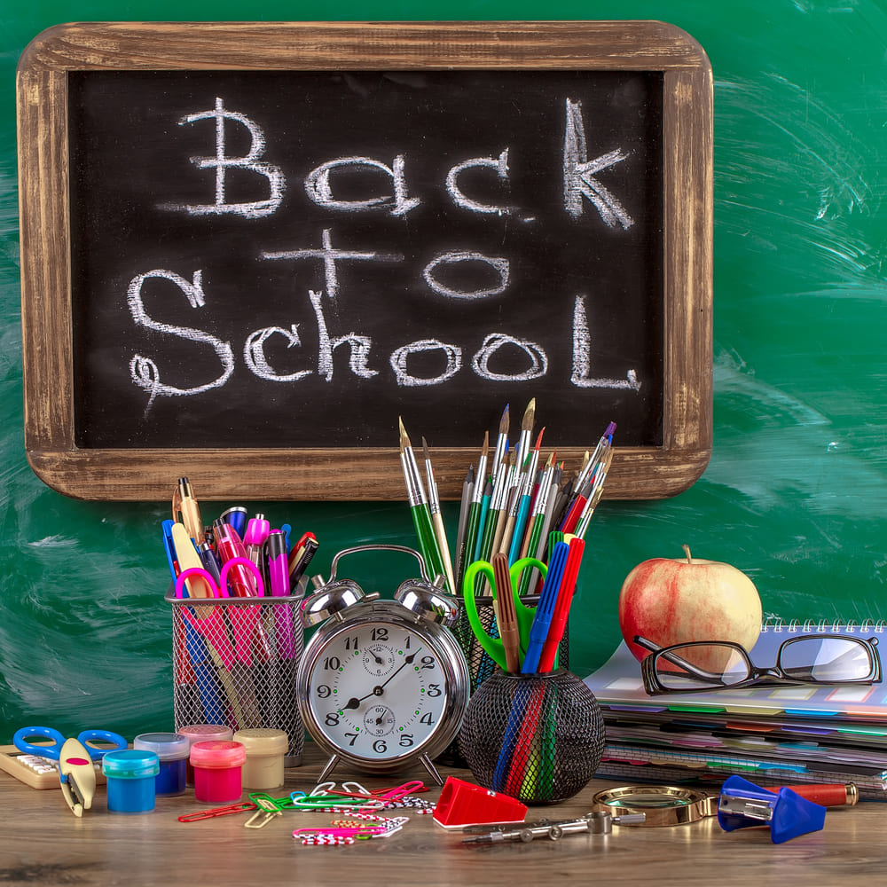 Back to School Chalkboard Photography Backdrop UK DBD7-15