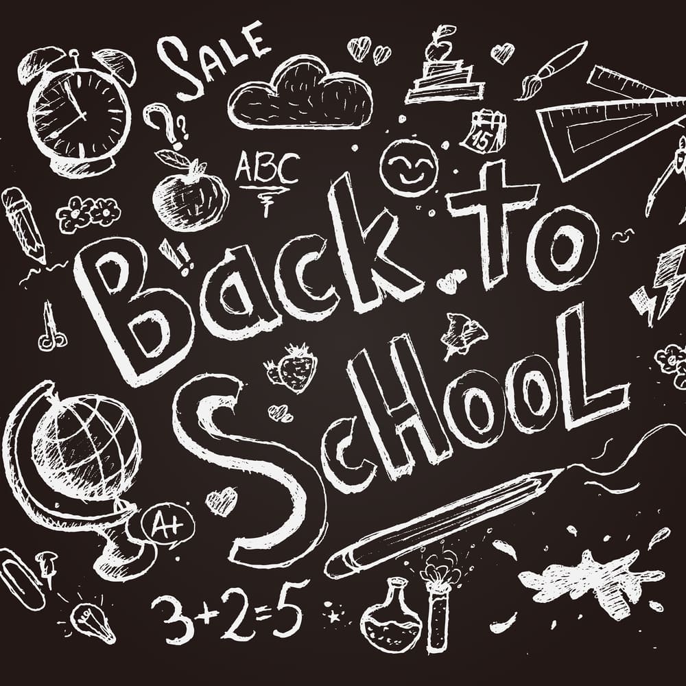 Back to School Chalkboard Drawn Sketch Backdrop UK DBD7-77