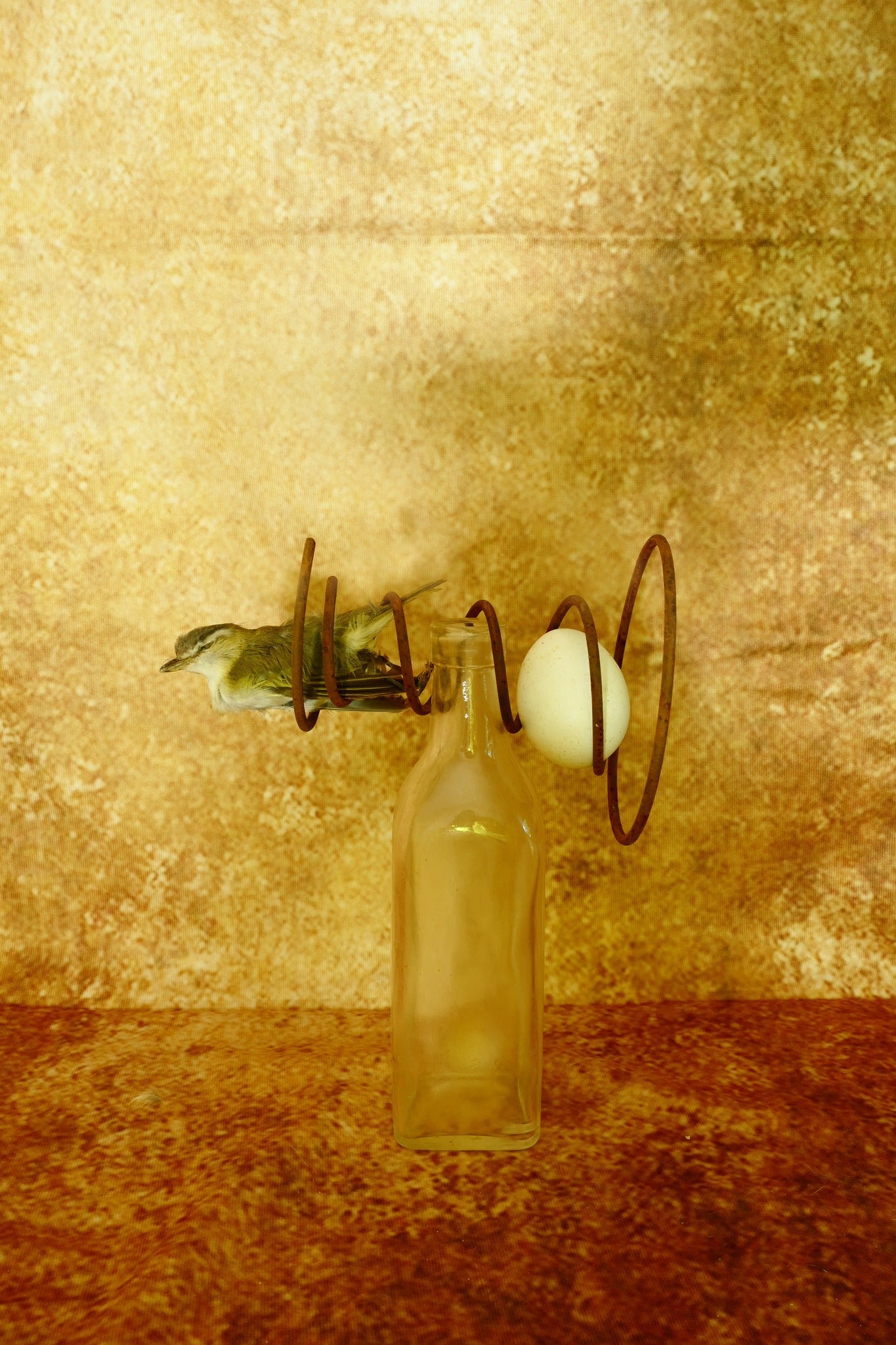 Abstract Brown Texture Wall Backdrop for Photography DHP-175