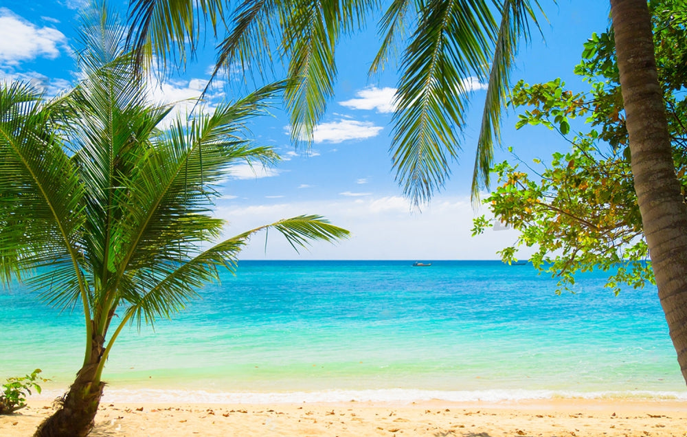 Beach Ocean Coconut Tree Photography Backdrop UK G-614