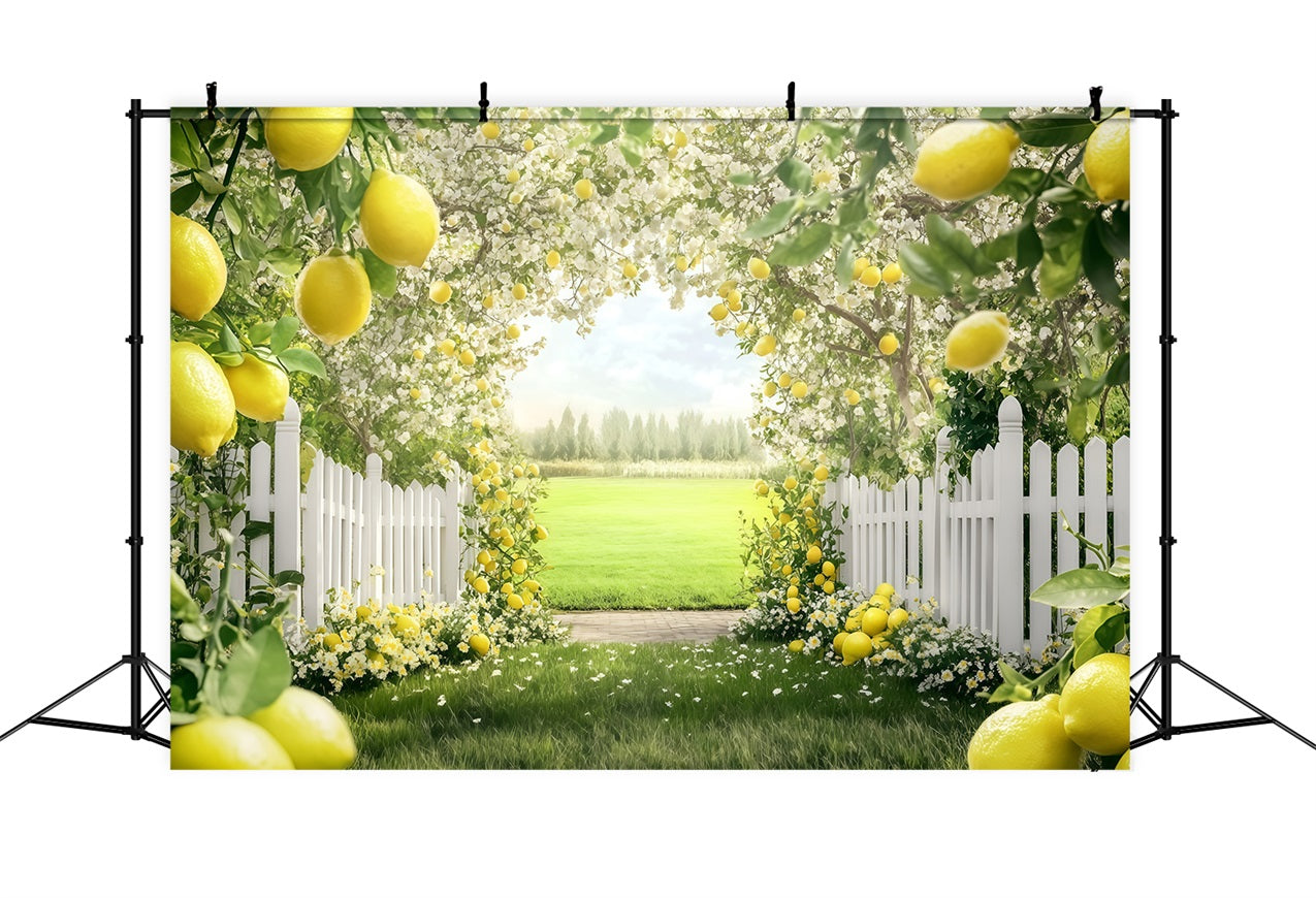 Lemon Backdrop Blooming Summer Tree Path Backdrop UK GQ4-265