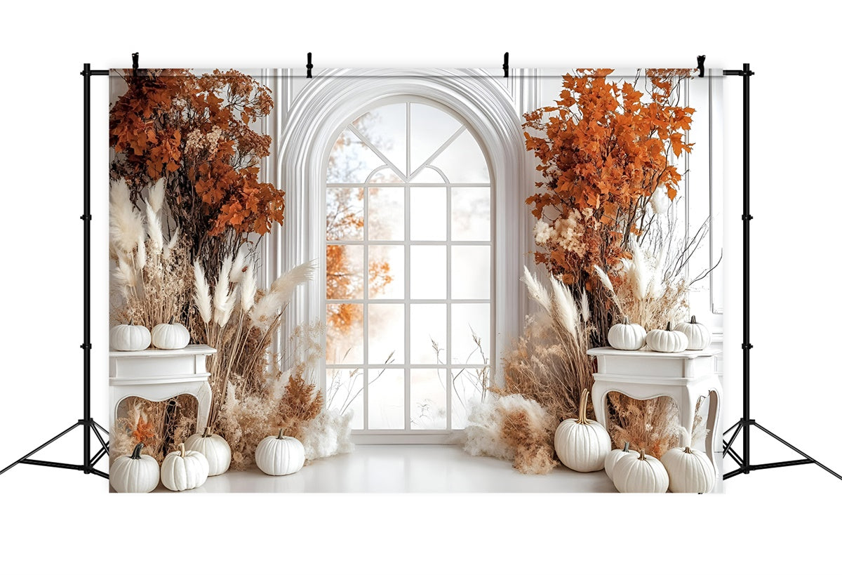Autumn Backdrop Elegant White Pumpkin Window Backdrop UK GQ5-85