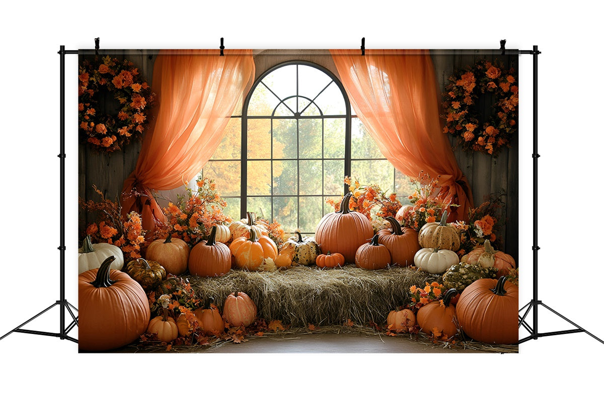Autumn Photo Backdrop Pumpkin Window Harvest Backdrop UK GQ57-110