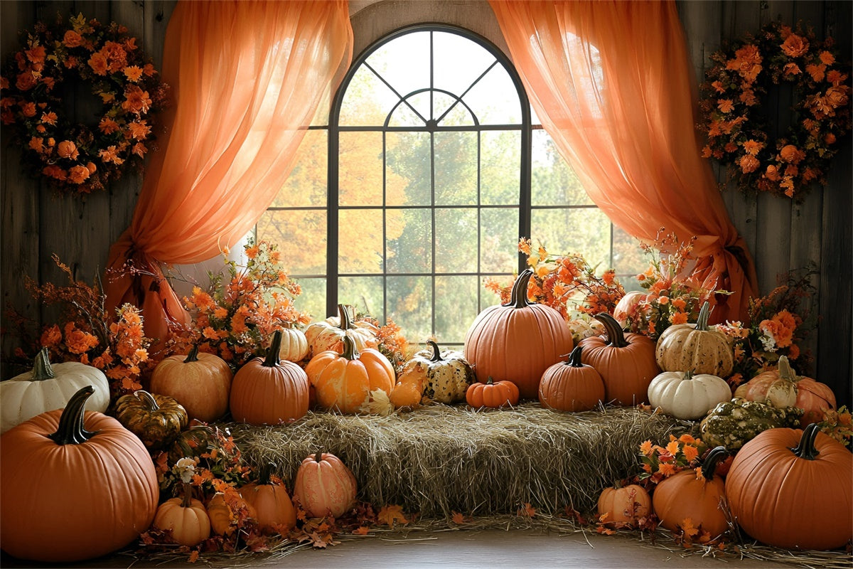 Autumn Photo Backdrop Pumpkin Window Harvest Backdrop UK GQ57-110