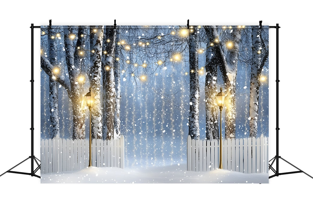 Winter Forest Backdrop Lantern Birch Path Backdrop UK GQ57-150