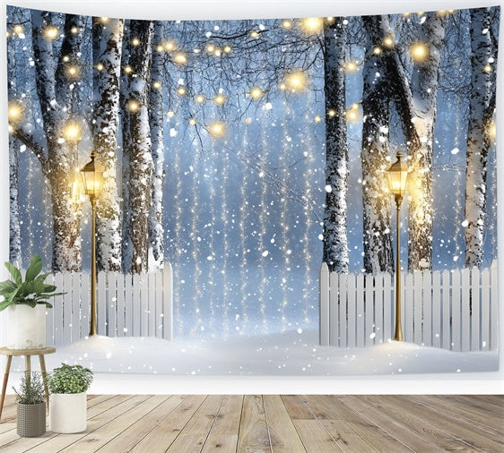 Winter Forest Backdrop Lantern Birch Path Backdrop UK GQ57-150
