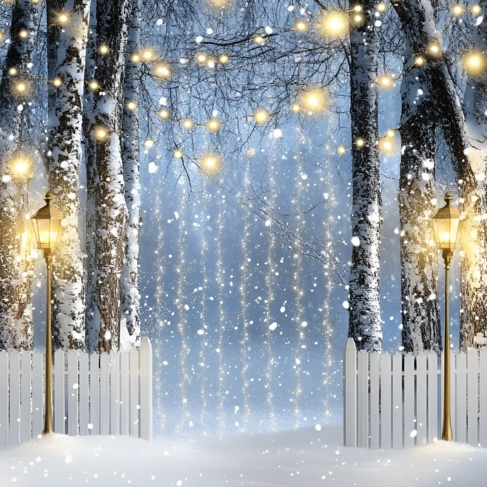Winter Forest Backdrop Lantern Birch Path Backdrop UK GQ57-150