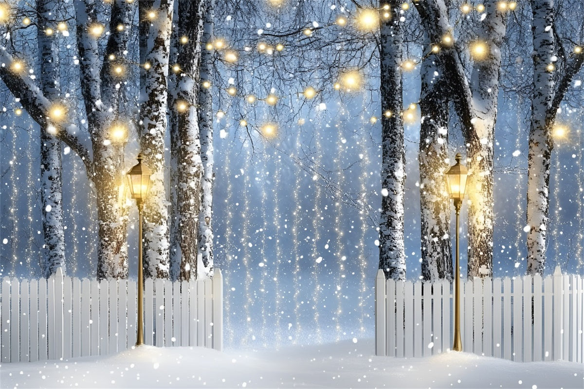 Winter Forest Backdrop Lantern Birch Path Backdrop UK GQ57-150