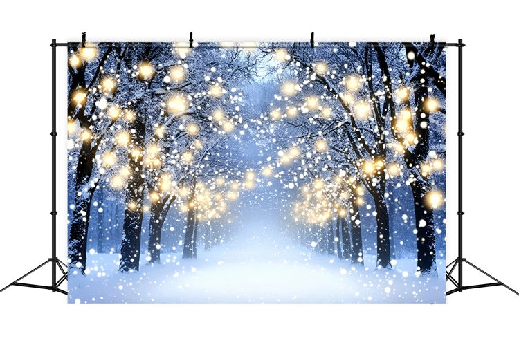Winter Photo Backdrop Glowing Forest Walk Backdrop UK GQ57-151