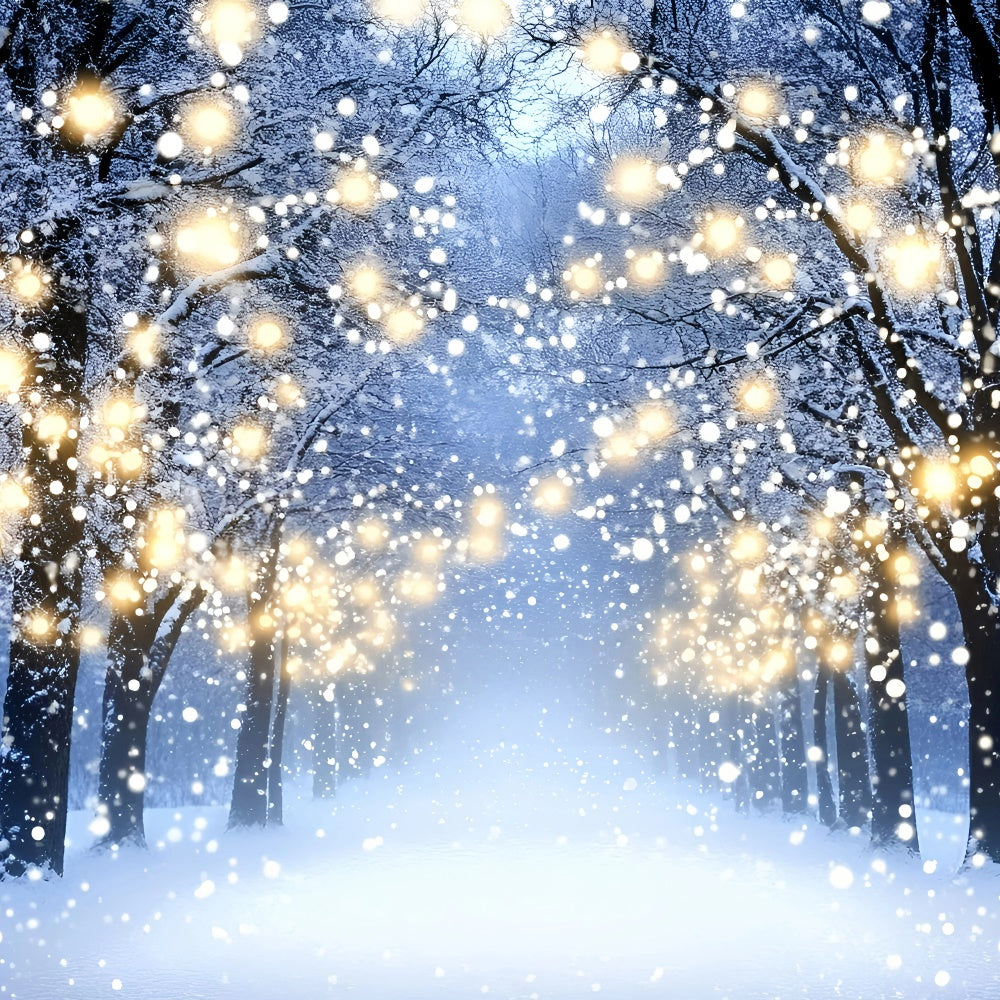 Winter Photo Backdrop Glowing Forest Walk Backdrop UK GQ57-151