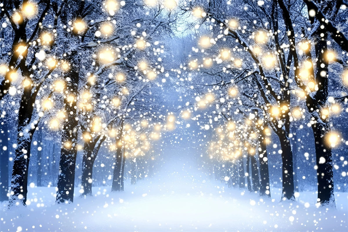 Winter Photo Backdrop Glowing Forest Walk Backdrop UK GQ57-151