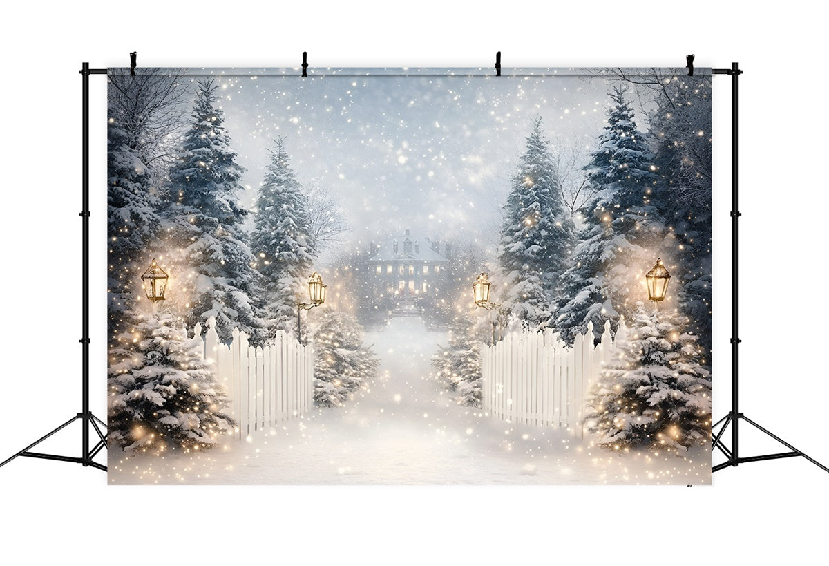 Winter Snow Backdrop Lantern Snow Trail Backdrop UK GQ57-152