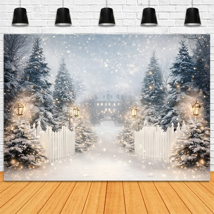 Winter Snow Backdrop Lantern Snow Trail Backdrop UK GQ57-152