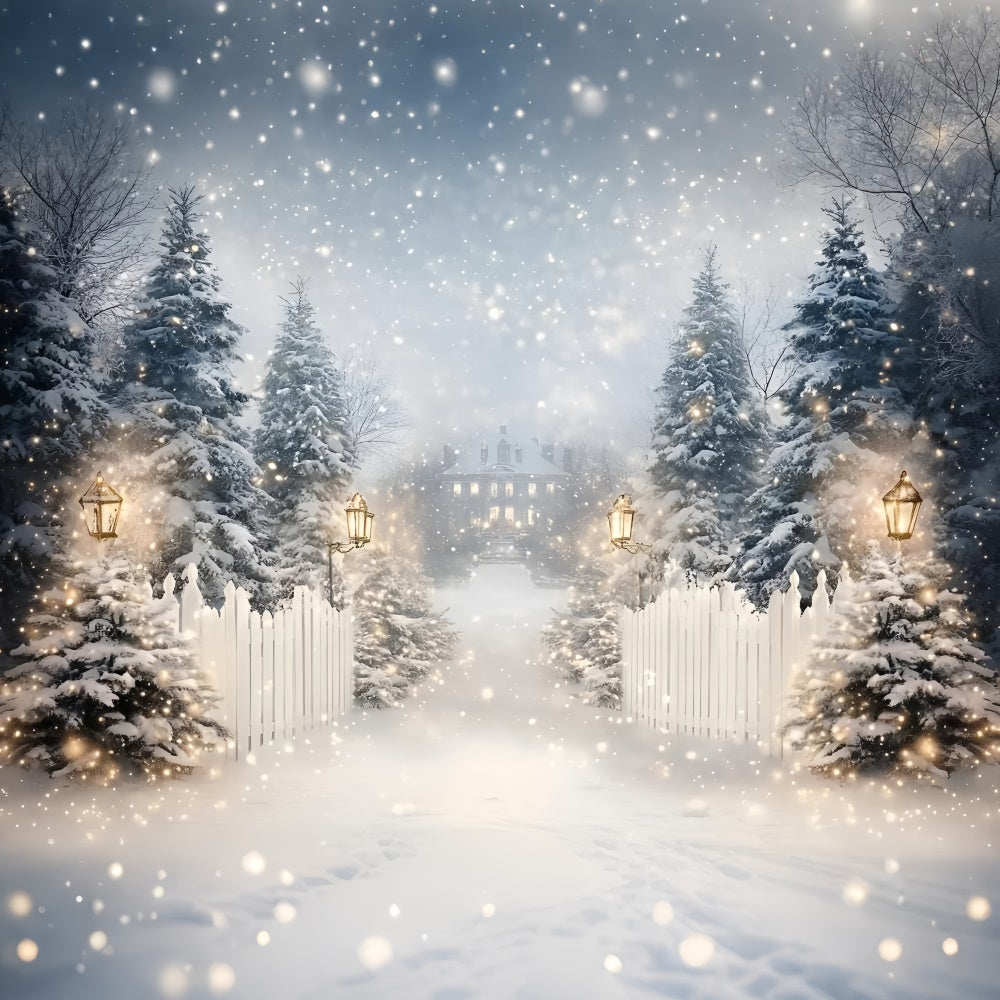 Winter Snow Backdrop Lantern Snow Trail Backdrop UK GQ57-152