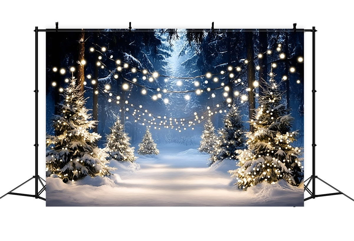 Winter Photo Backdrop Winter Tree Light Path Backdrop UK GQ57-159