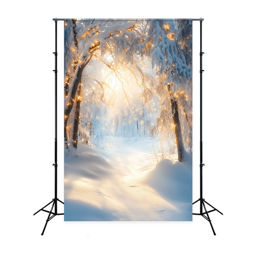 Winter Snow Backdrop Golden Frost Archway Backdrop UK GQ57-161