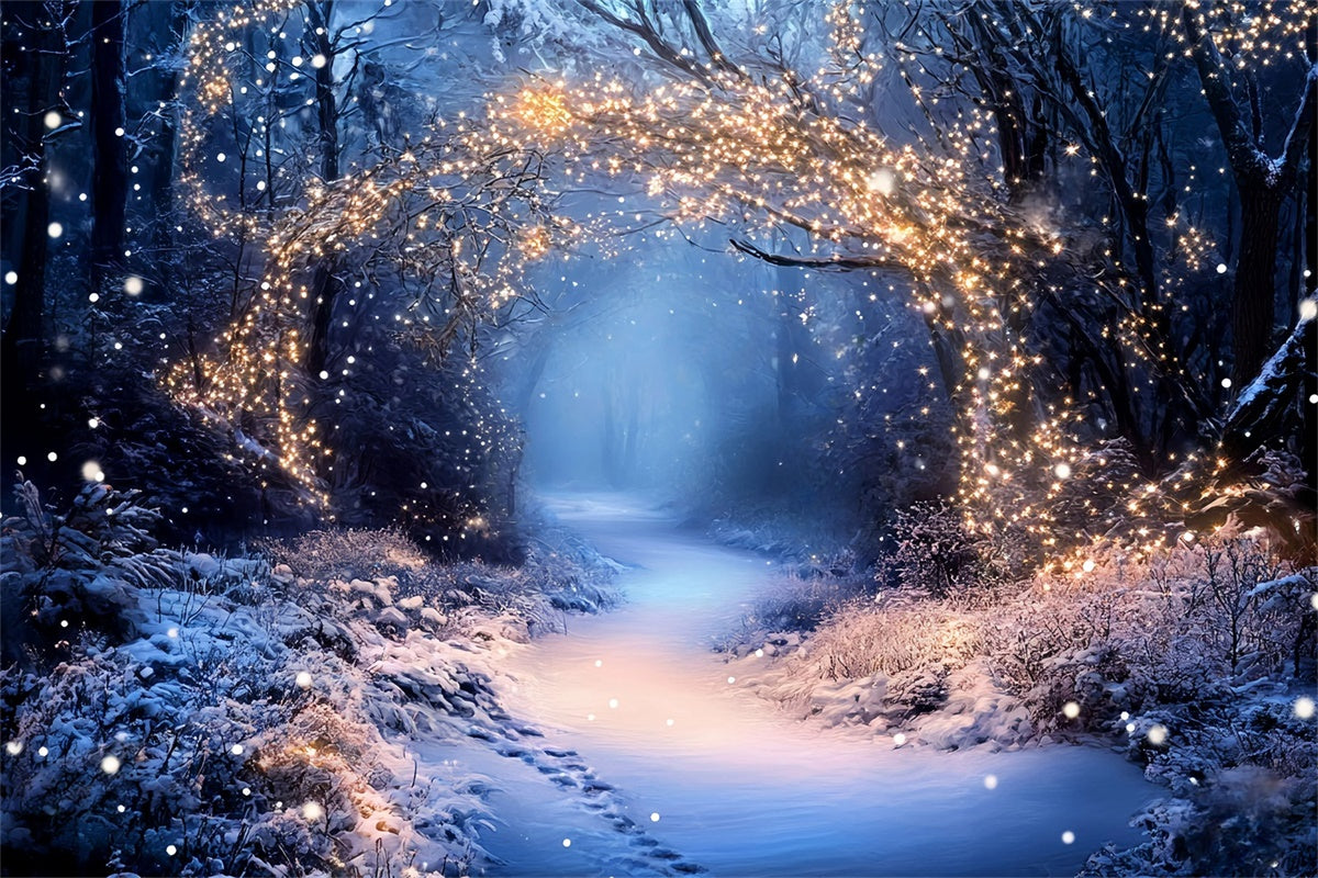 Winter Forest Backdrop Fairy Lights Trail Backdrop UK GQ57-174