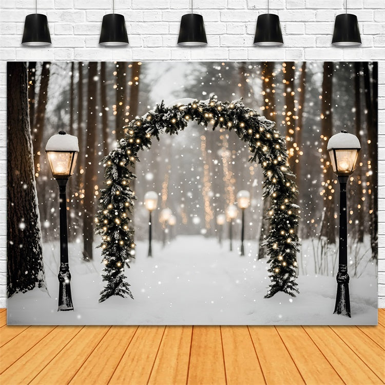 Winter Forest Backdrop Magic Lantern Snow Path Backdrop UK GQ57-72