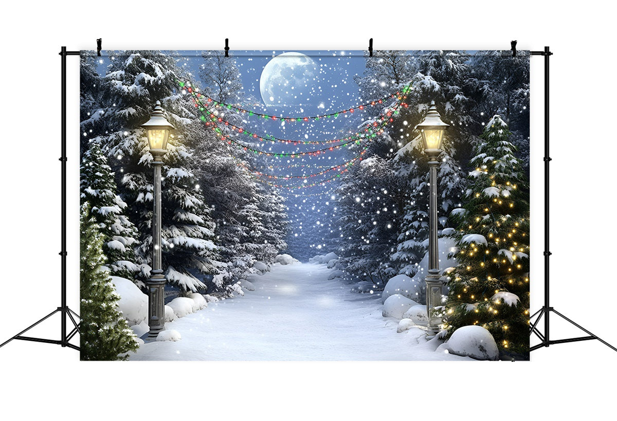 Night Forest Backdrop Full Moon Winter Trail Backdrop UK GQ57-74