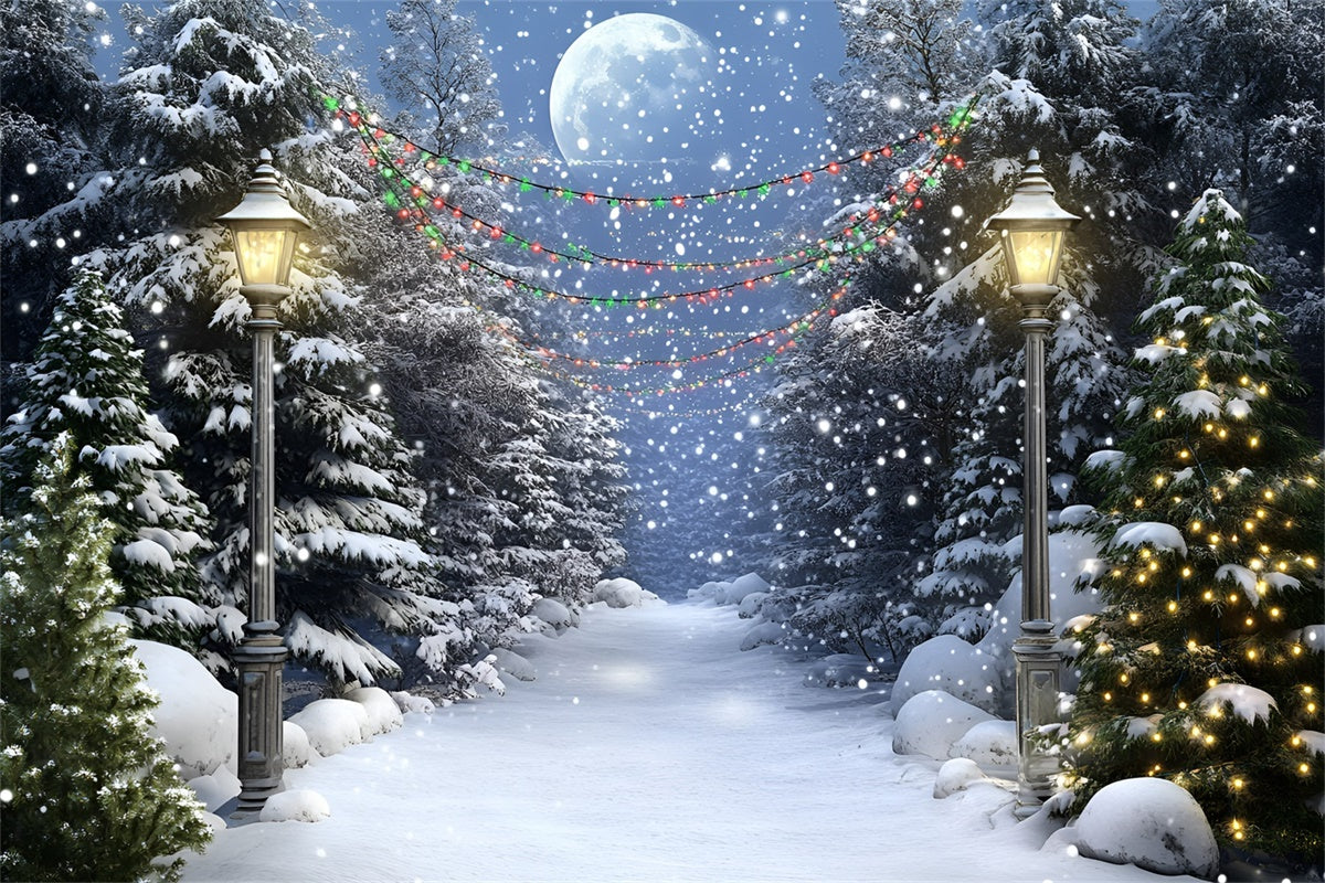 Night Forest Backdrop Full Moon Winter Trail Backdrop UK GQ57-74