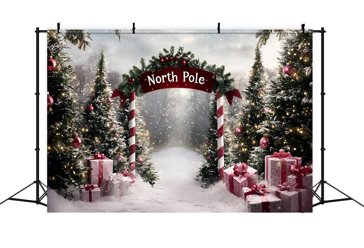 North Pole Backdrop North Pole Candy Cane Gift Path Professional Christmas Backdrops UK GQ58-51