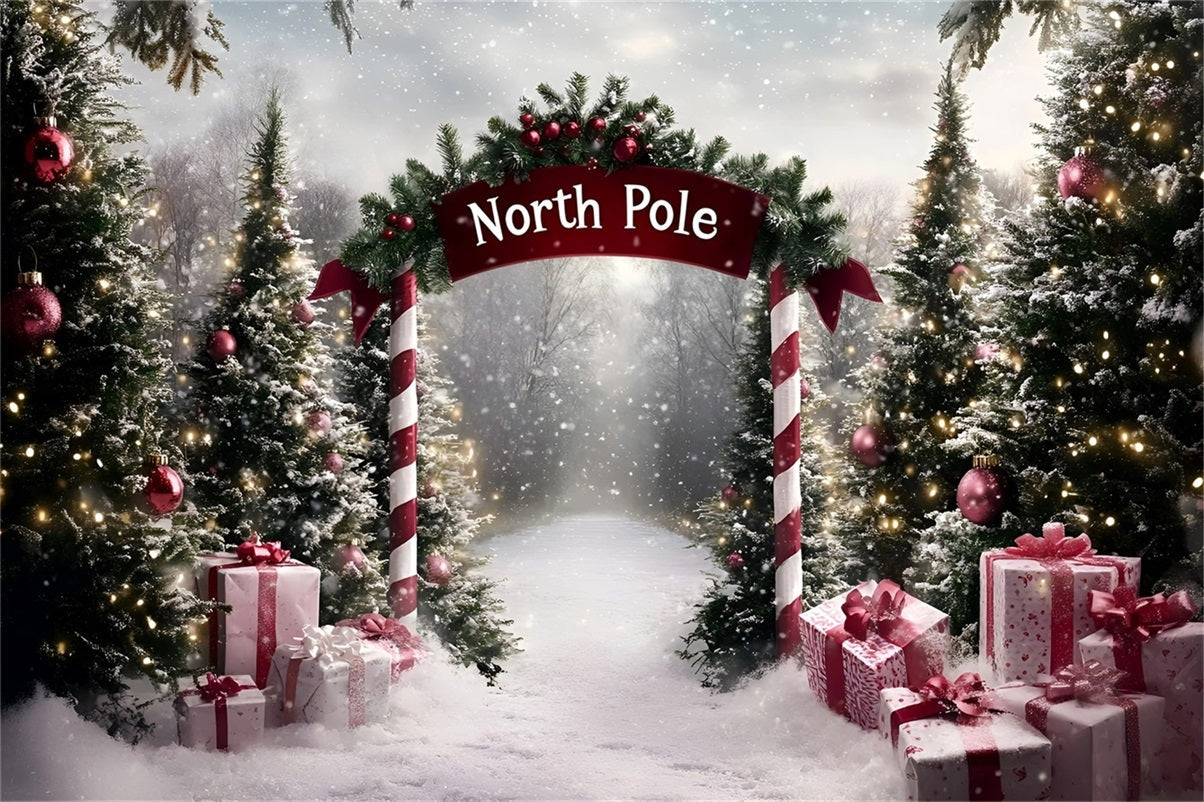 North Pole Backdrop North Pole Candy Cane Gift Path Professional Christmas Backdrops UK GQ58-51
