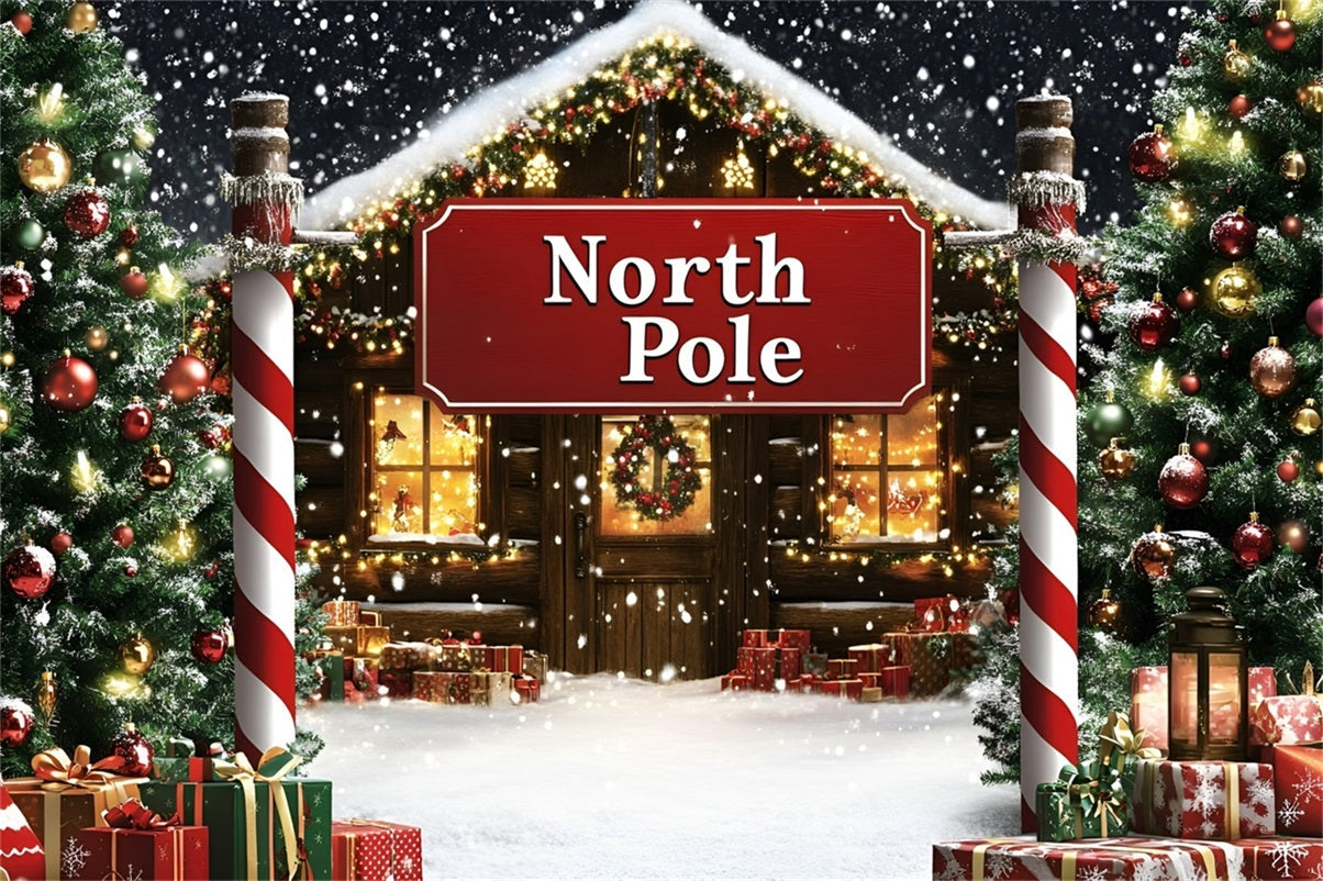 North Pole Backdrop Snowy North Pole Cottage Entrance Professional Christmas Backdrops UK GQ58-52