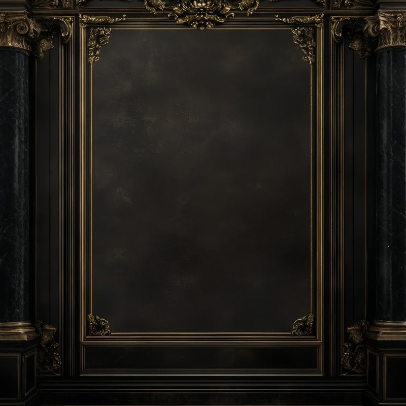 Dark Backdrop Ornate Baroque Gold Frame on Dark Wall Portrait Studio Backdrop UK GQ58-70