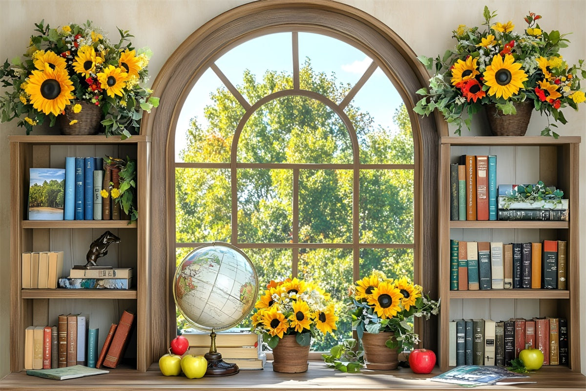 Back To School Photo Backdrop Sunny Window Study Backdrop UK GQ6-119