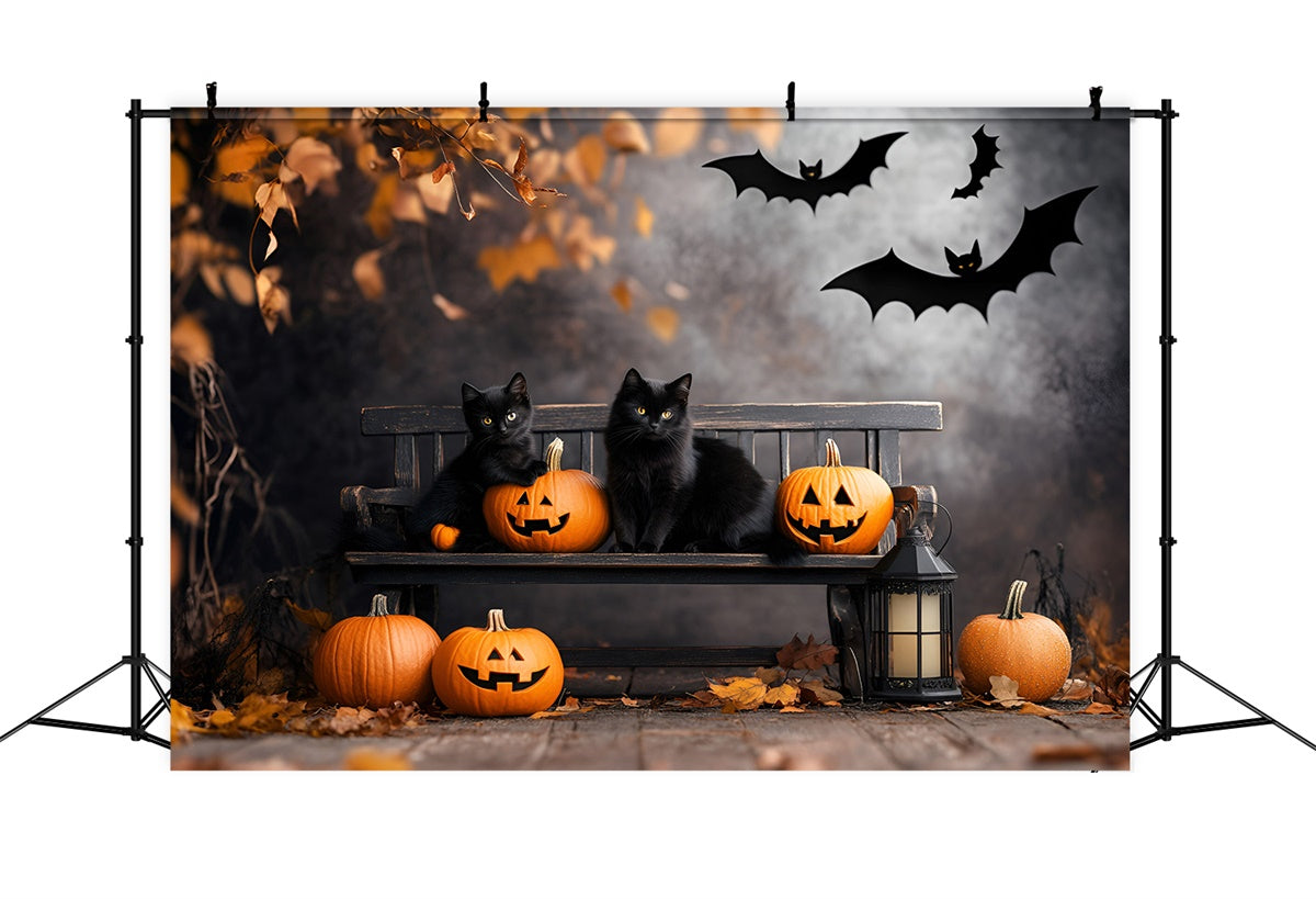Scary Halloween Backdrops Black Cat Pumpkin Bench Backdrop UK GQ6-234