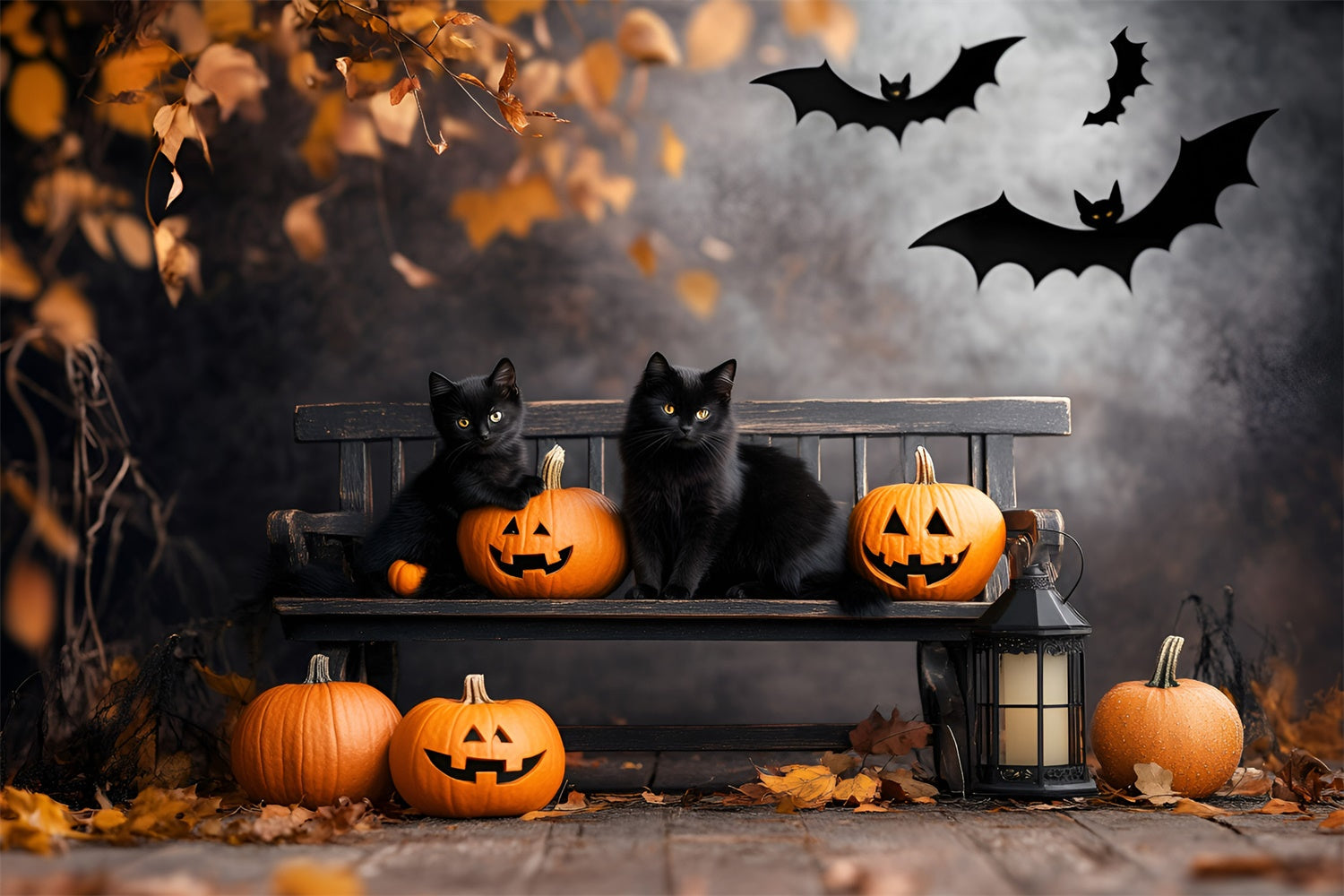 Scary Halloween Backdrops Black Cat Pumpkin Bench Backdrop UK GQ6-234