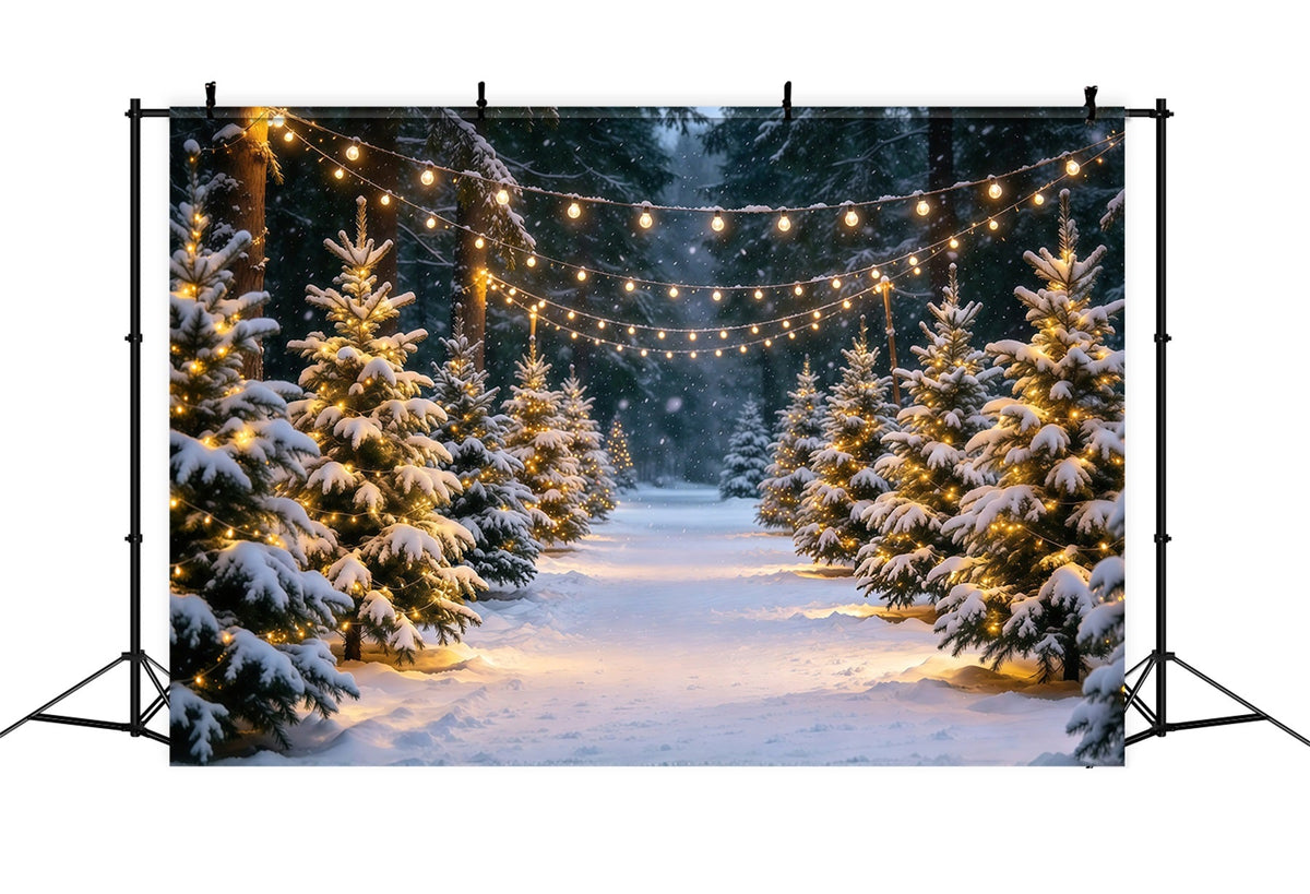 Christmas Tree Farm Backdrop Snowy Pine Stringlight Path Christmas Tree Backdrops UK GQ610-16
