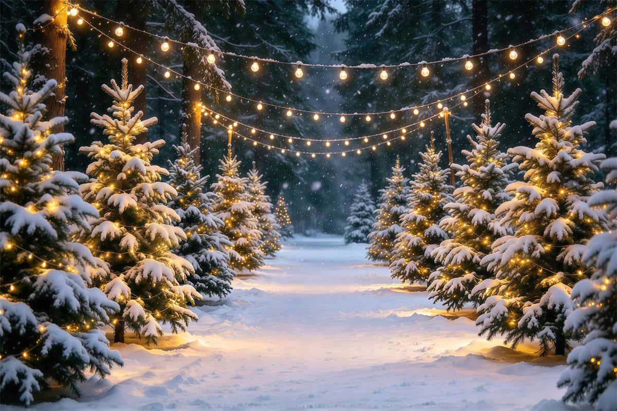 Christmas Tree Farm Backdrop Snowy Pine Stringlight Path Christmas Tree Backdrops UK GQ610-16
