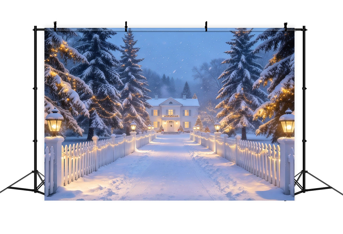 Christmas Lights Photo Backdrop Snowy Lantern Picket Path Christmas Photobooth Backdrop UK GQ610-72