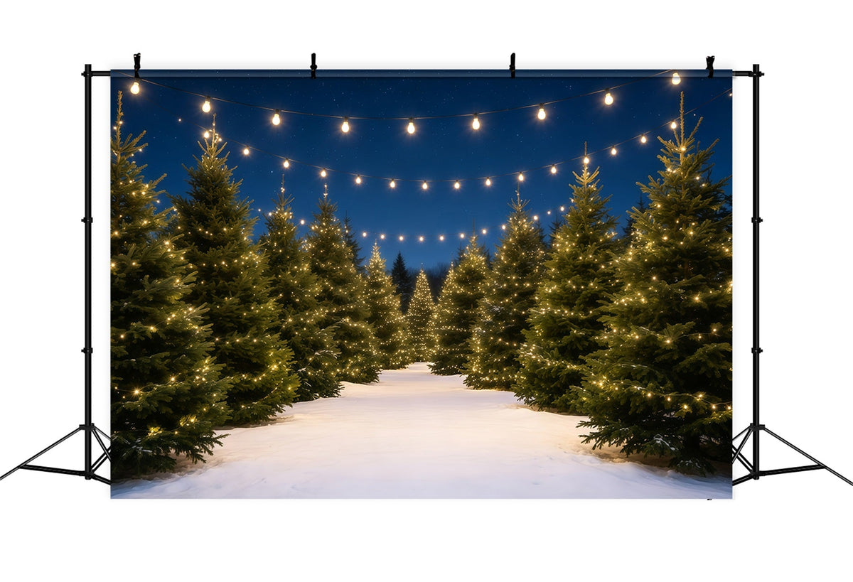 Christmas Tree Farm Backdrop Snowy Pine Light Path Christmas Backdrops UK GQ68-132