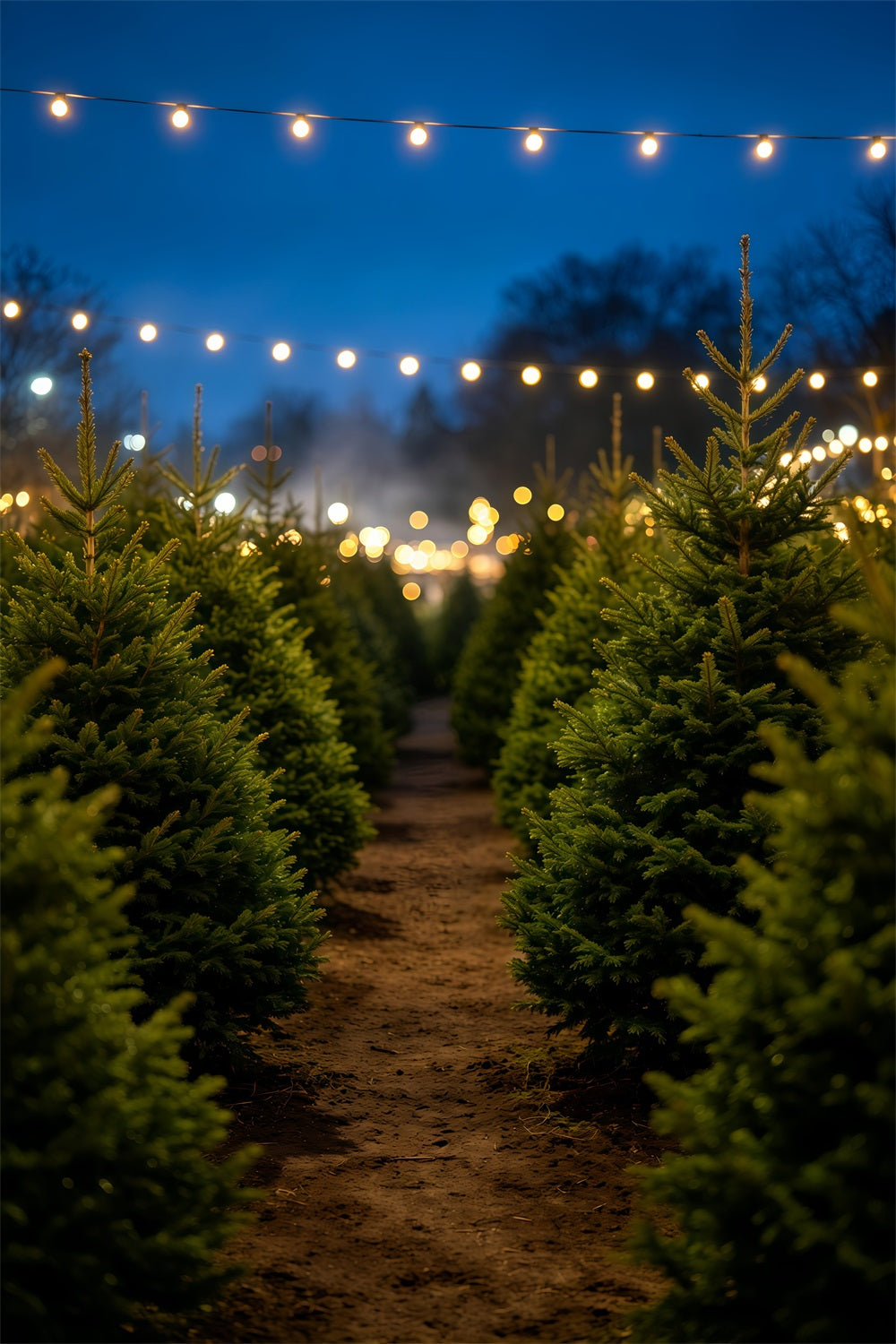 Christmas Tree Backdrop Nighttime Pine Tree Pathway Indoor Christmas Backdrops UK GQ69-49