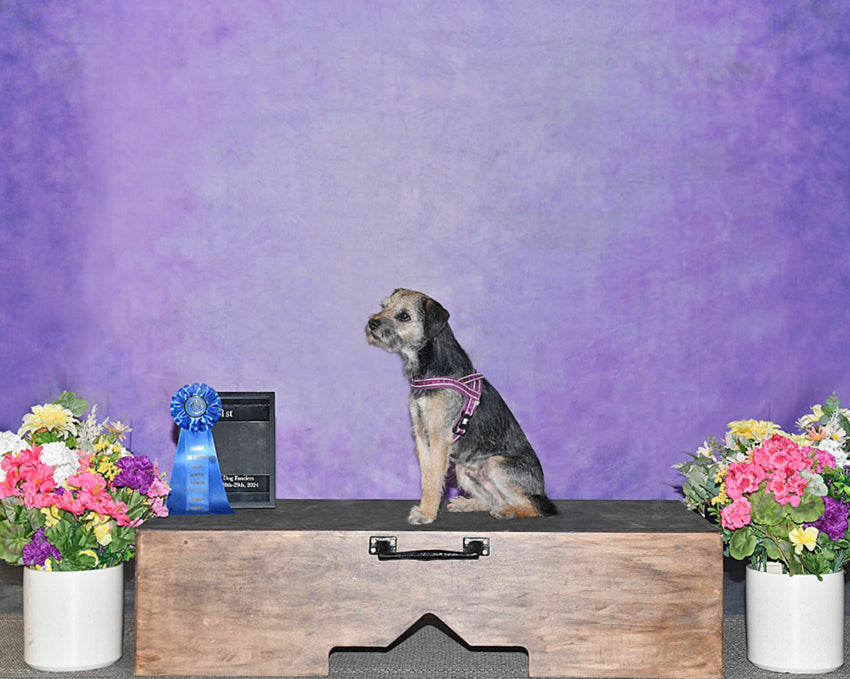 Purple Abstract Fine Art Studio Backdrop HF-0020