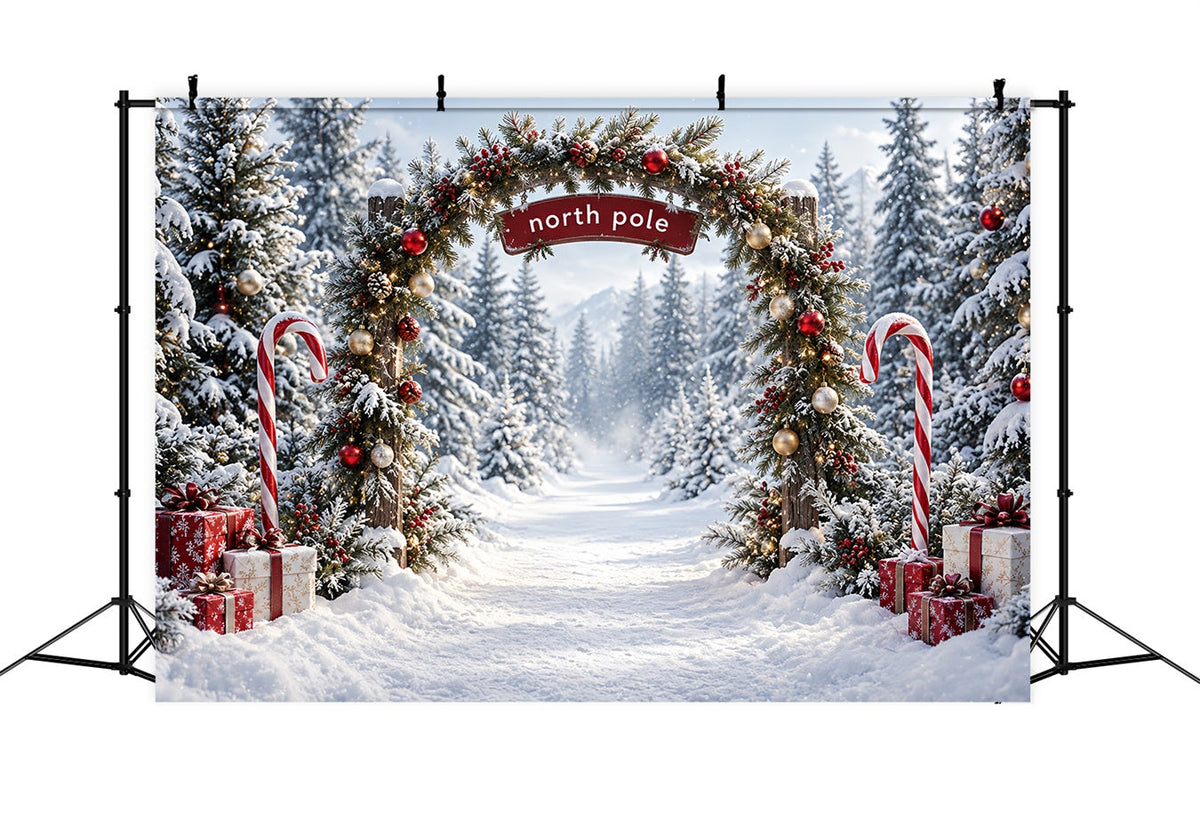 North Pole Photo Backdrop Candy Cane Forest Entrance Christmas Winter