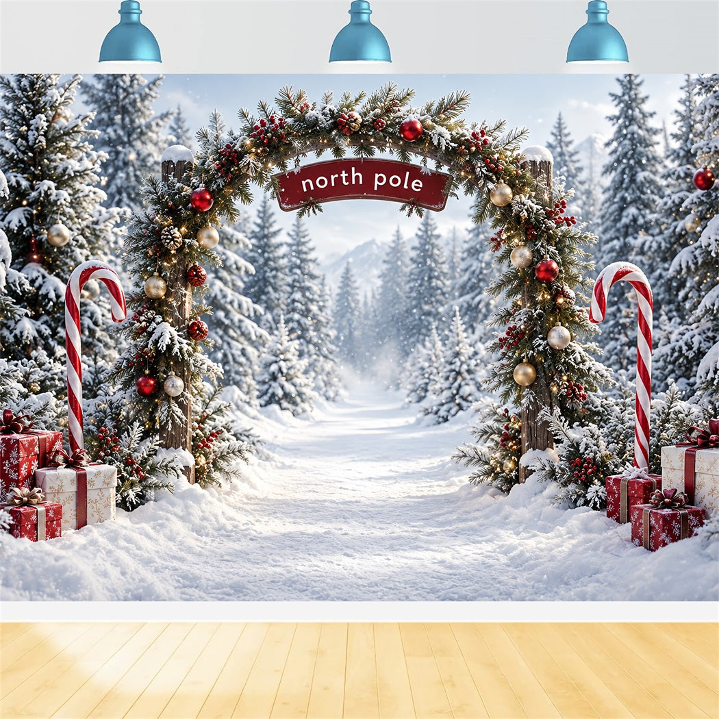 North Pole Photo Backdrop Candy Cane Forest Entrance Christmas Winter Backdrop UK HQ610-182
