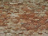 Vintage Brick Wall Photography Backdrop UK  J03123